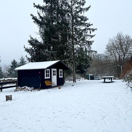 Wunderschoenes Chalet Mit Gaestehaus In Der Natur Mit Fass-Sauna Sangerhausen Zewnętrze zdjęcie