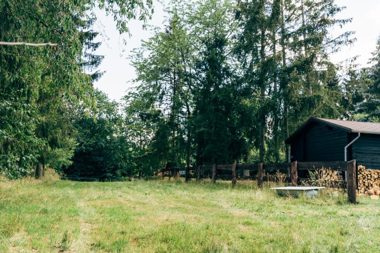 Wunderschoenes Chalet Mit Gaestehaus In Der Natur Mit Fass-Sauna Sangerhausen Zewnętrze zdjęcie